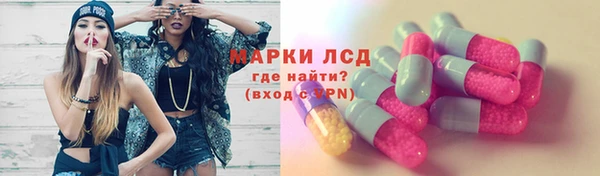 СК Бородино