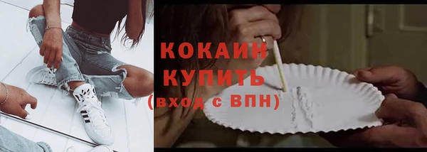 СК Бородино
