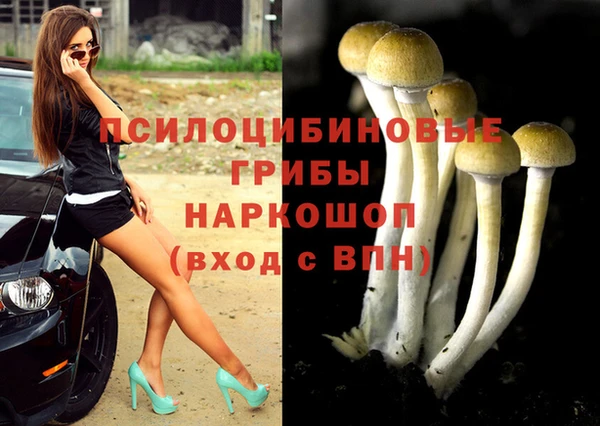 ешки Бронницы
