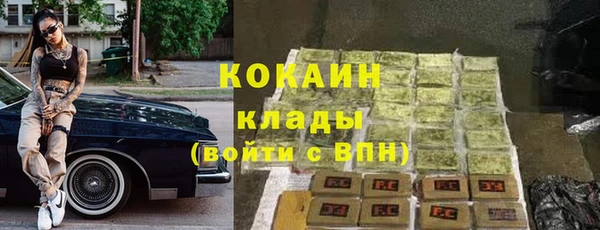ешки Бронницы
