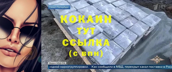 СК Бородино